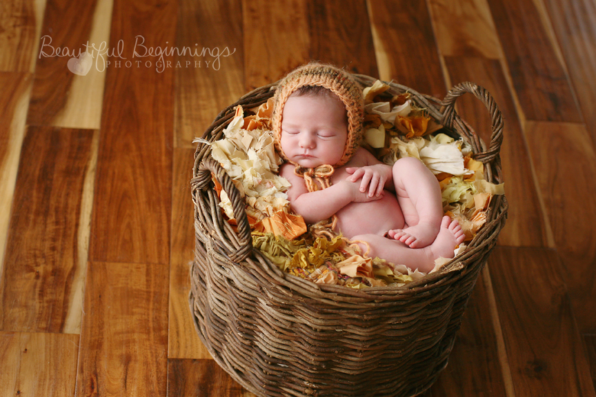 2015 April Archive - Beautiful Beginnings Photography